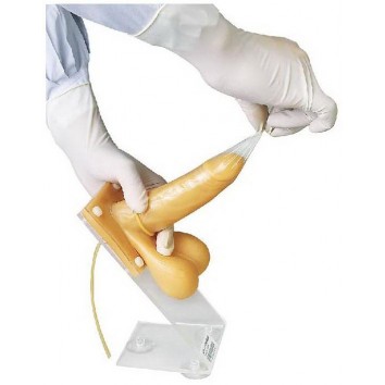 CONDOM WEARING TRAINING SIMULATOR (SOFT)